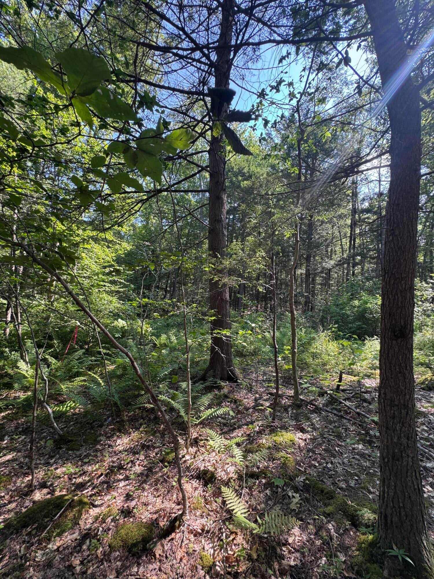 L24 Poplar Ridge Drive