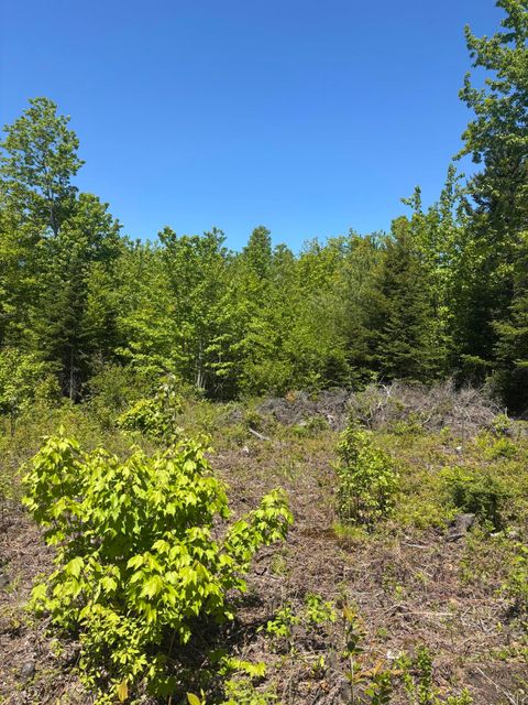 Photo of 54 Poplar Lane, Dedham, ME 04640 (MLS # 1668440)