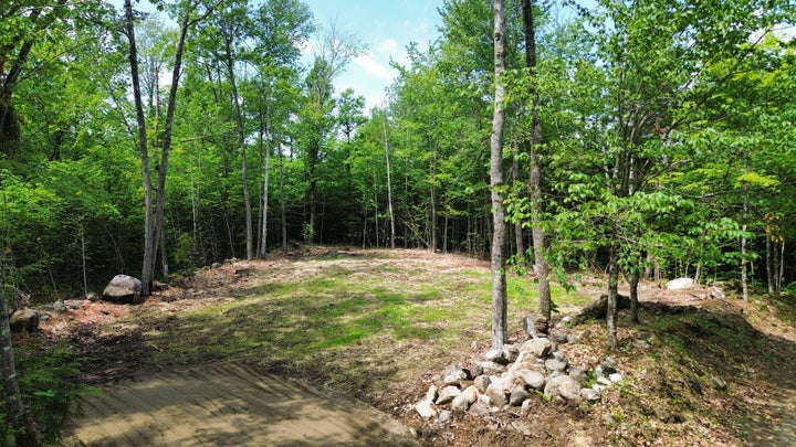Clearing for a future house on lot 19