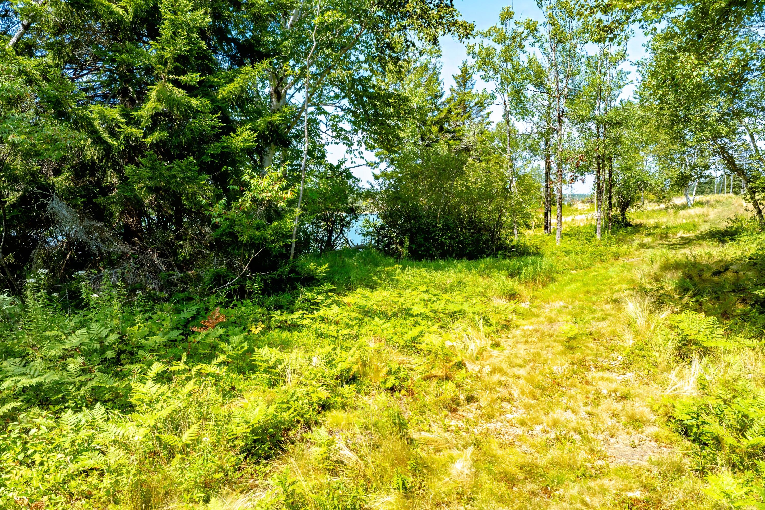 Lot 10 Seaberry Landing