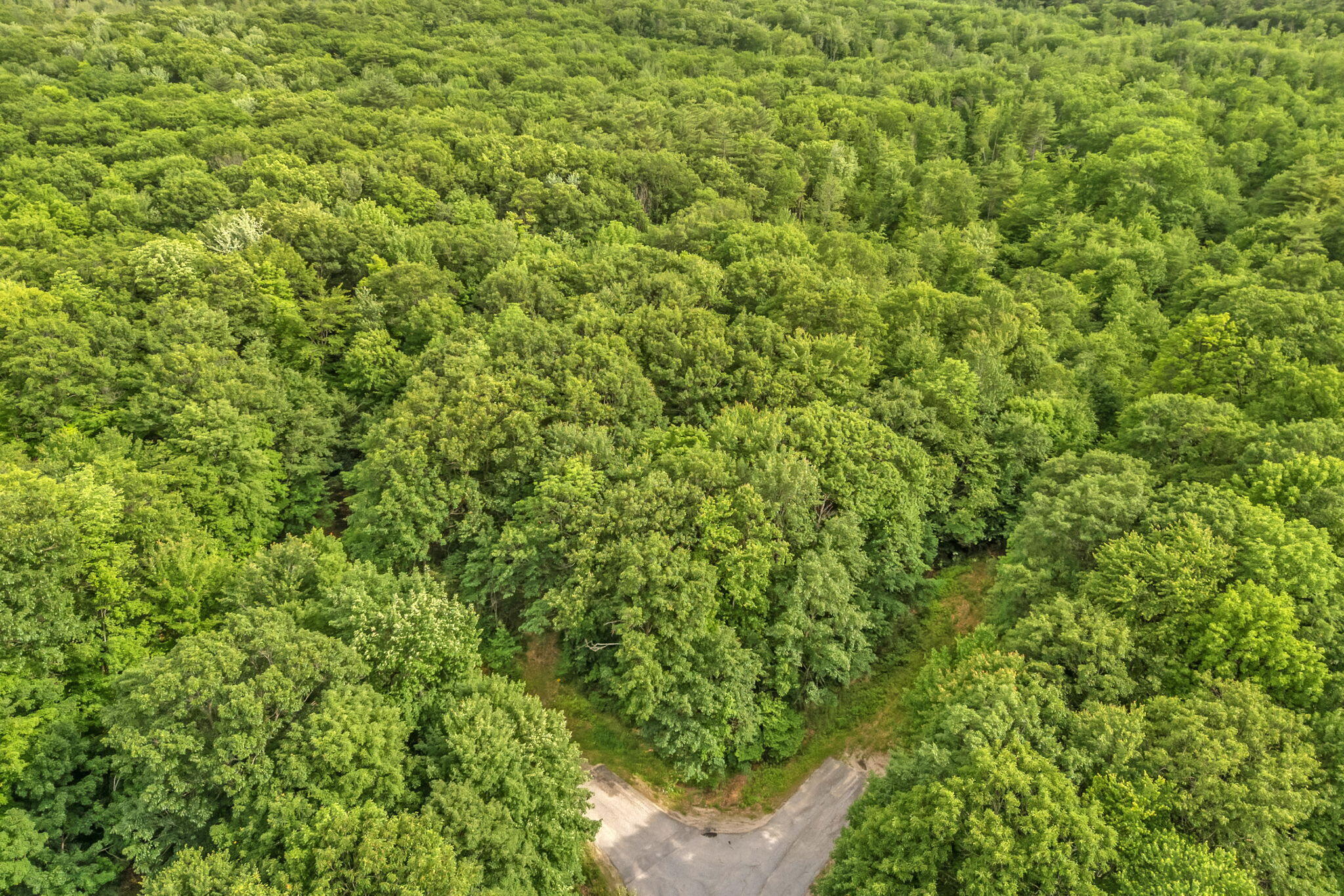 Lot 6 Forest Trail Drive