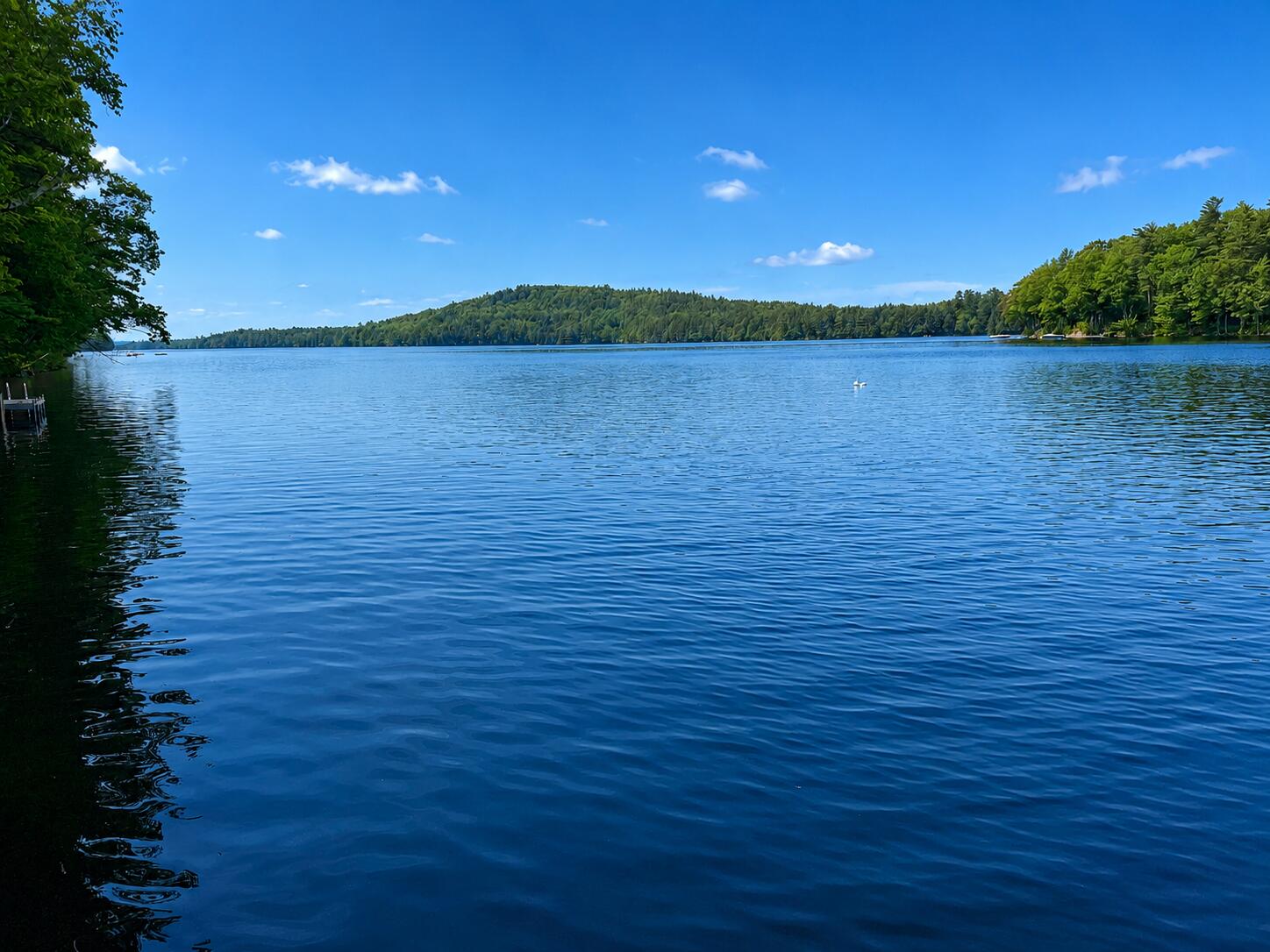 9 Arden Cove Lane