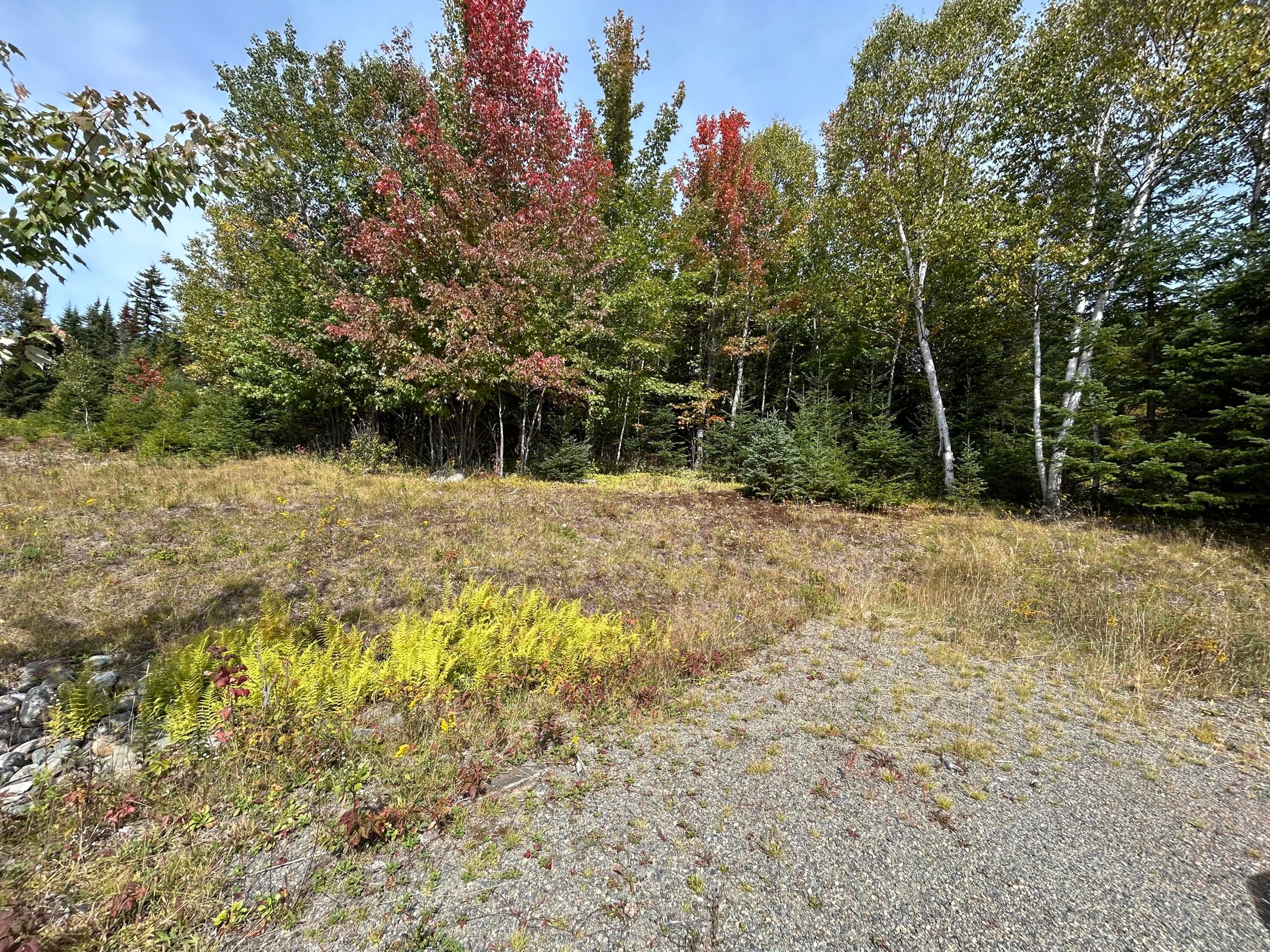 Lot 6 Johnson Lane