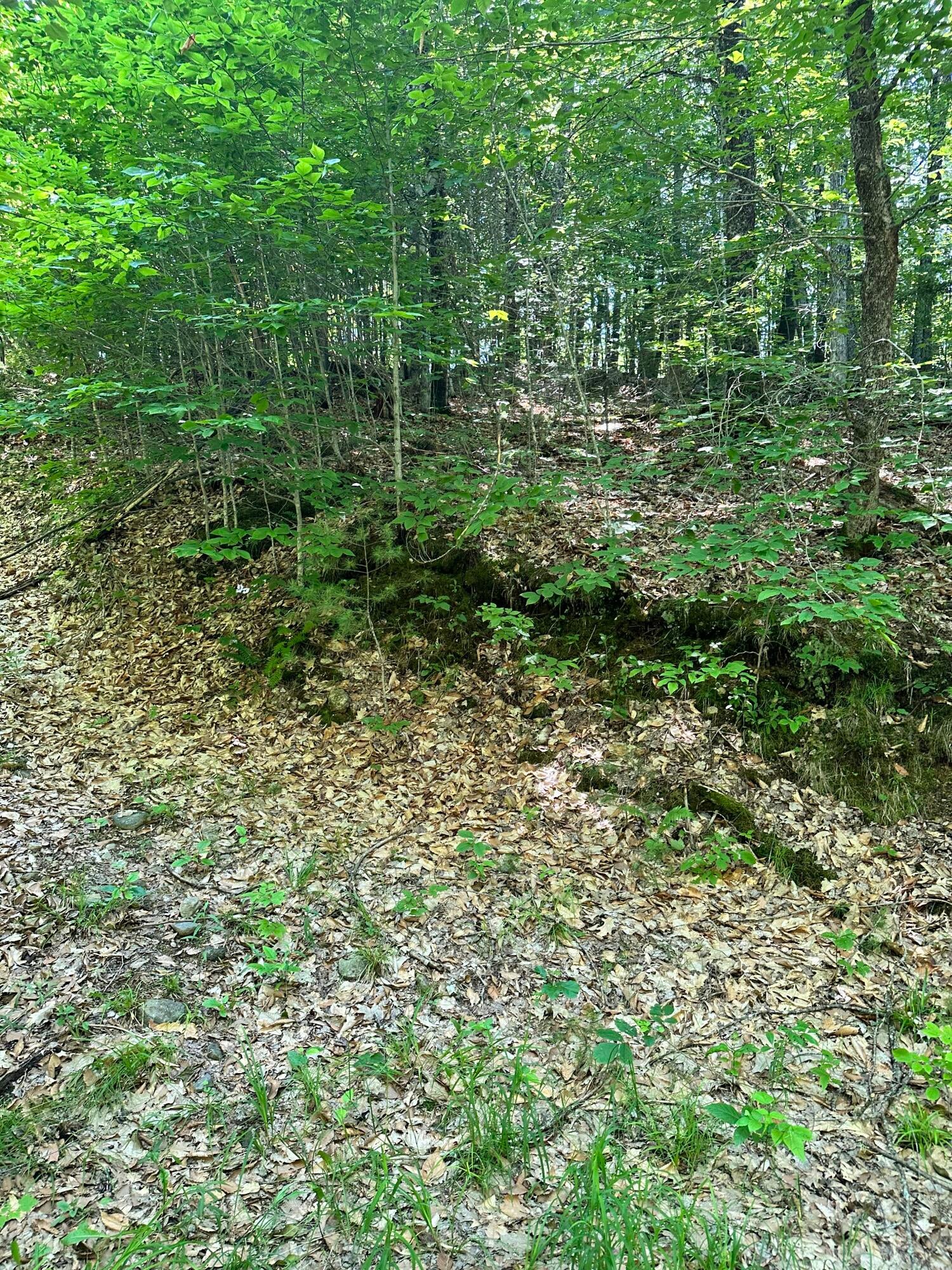 M9L140-G Wiley Road