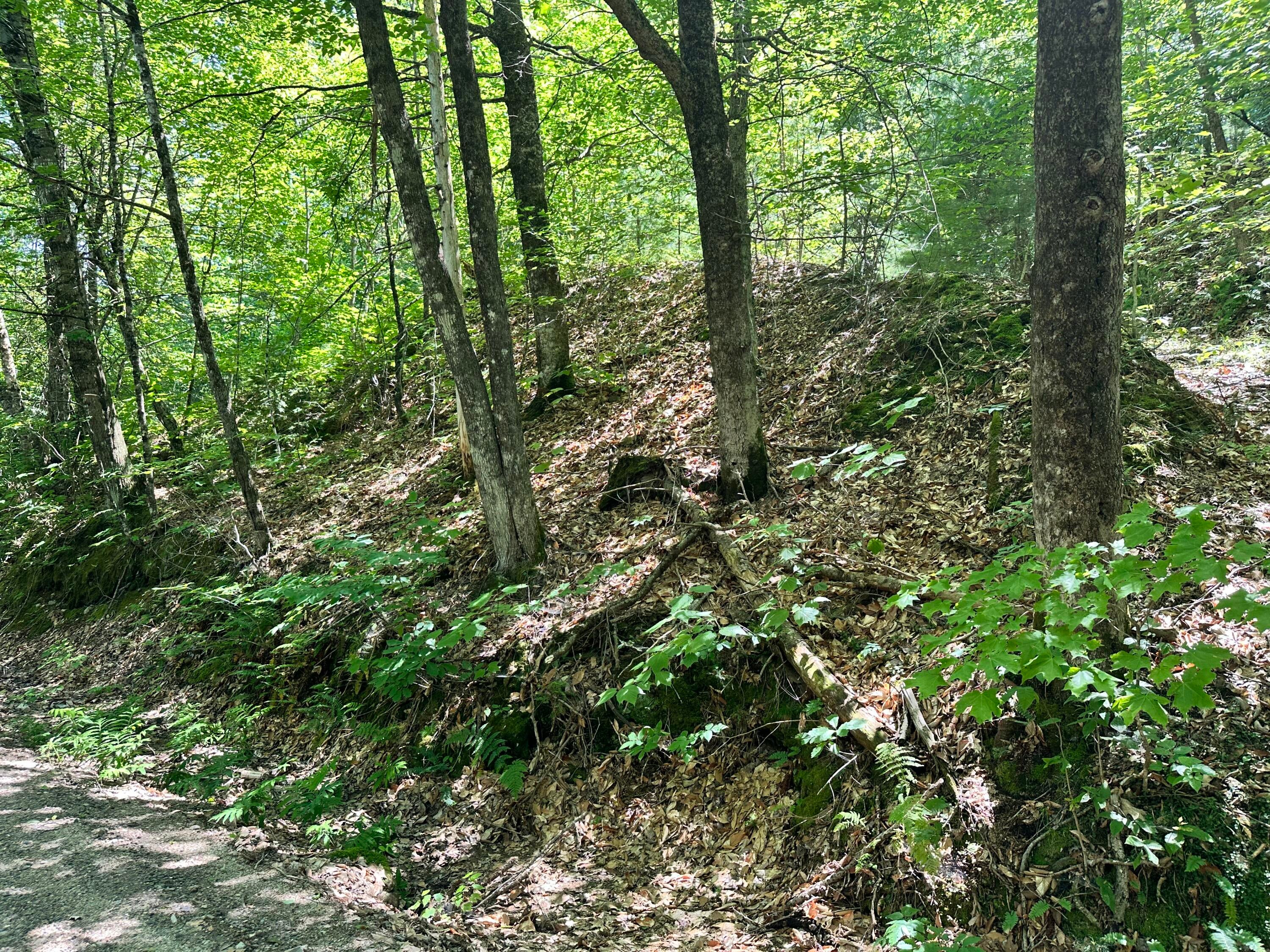 M9L140-G Wiley Road