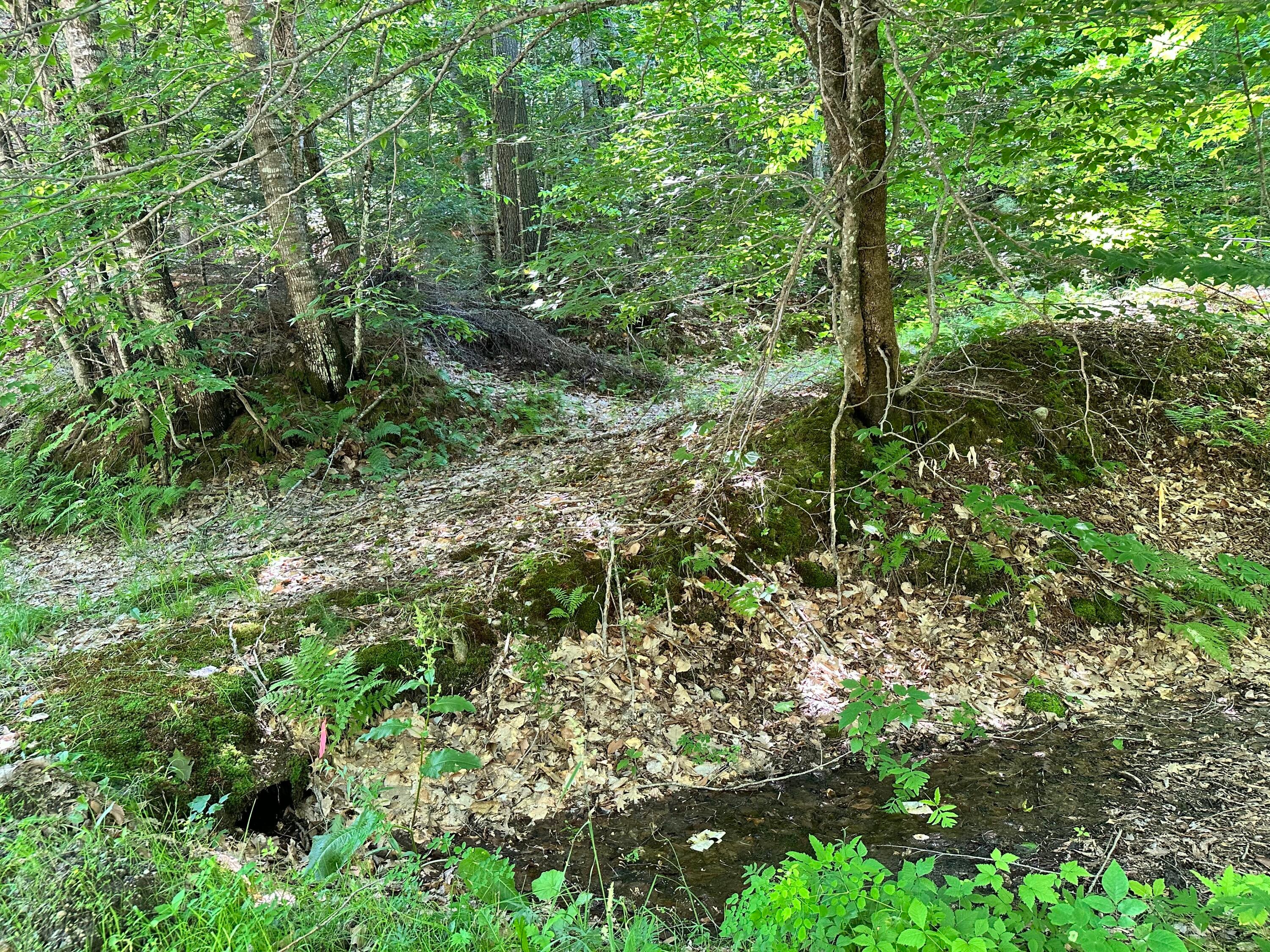 M9L140-G Wiley Road