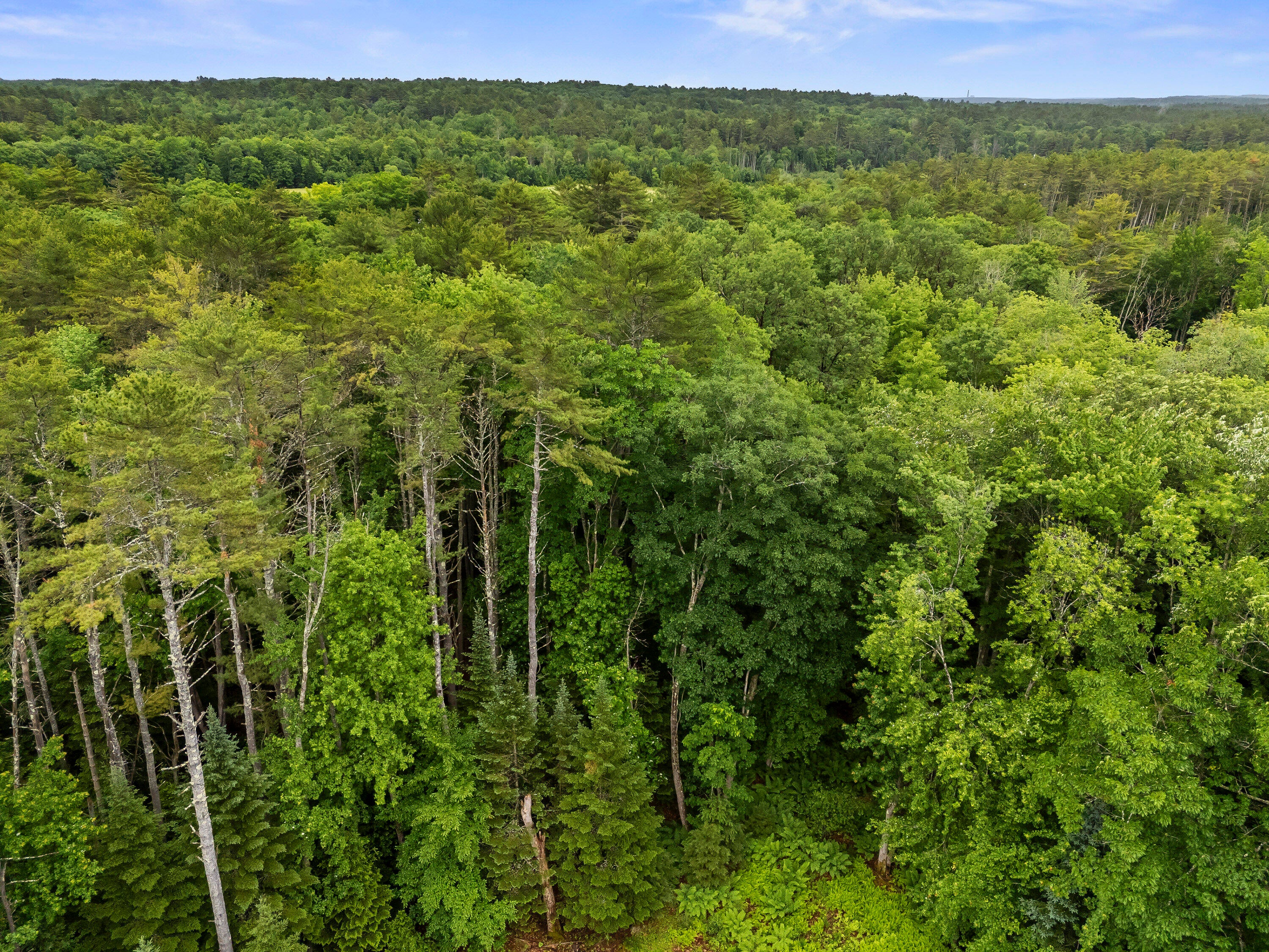 Lot 29 Elmwood Road