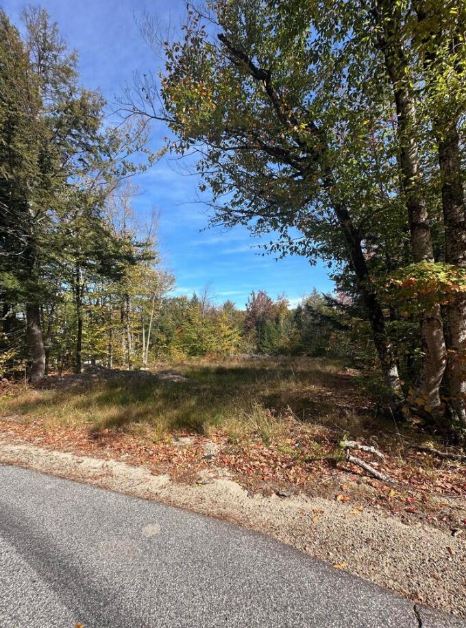 Lot 2 Hancock Pond Rd