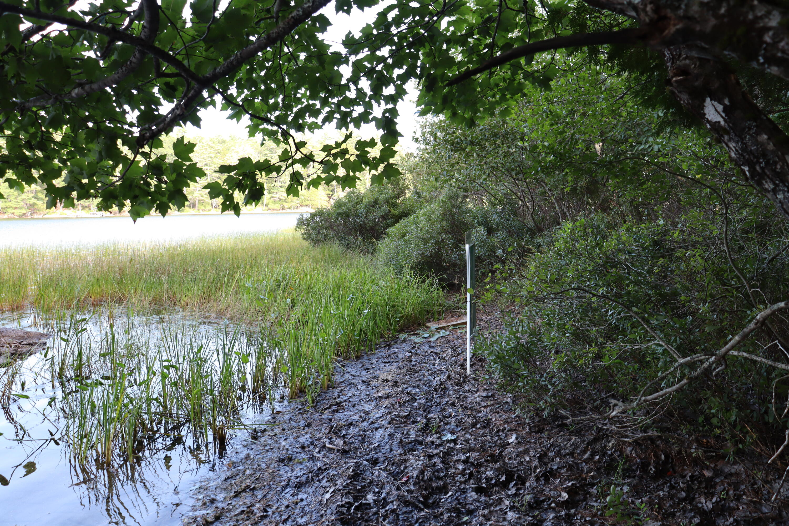Lot 0 Sweet Fern Way