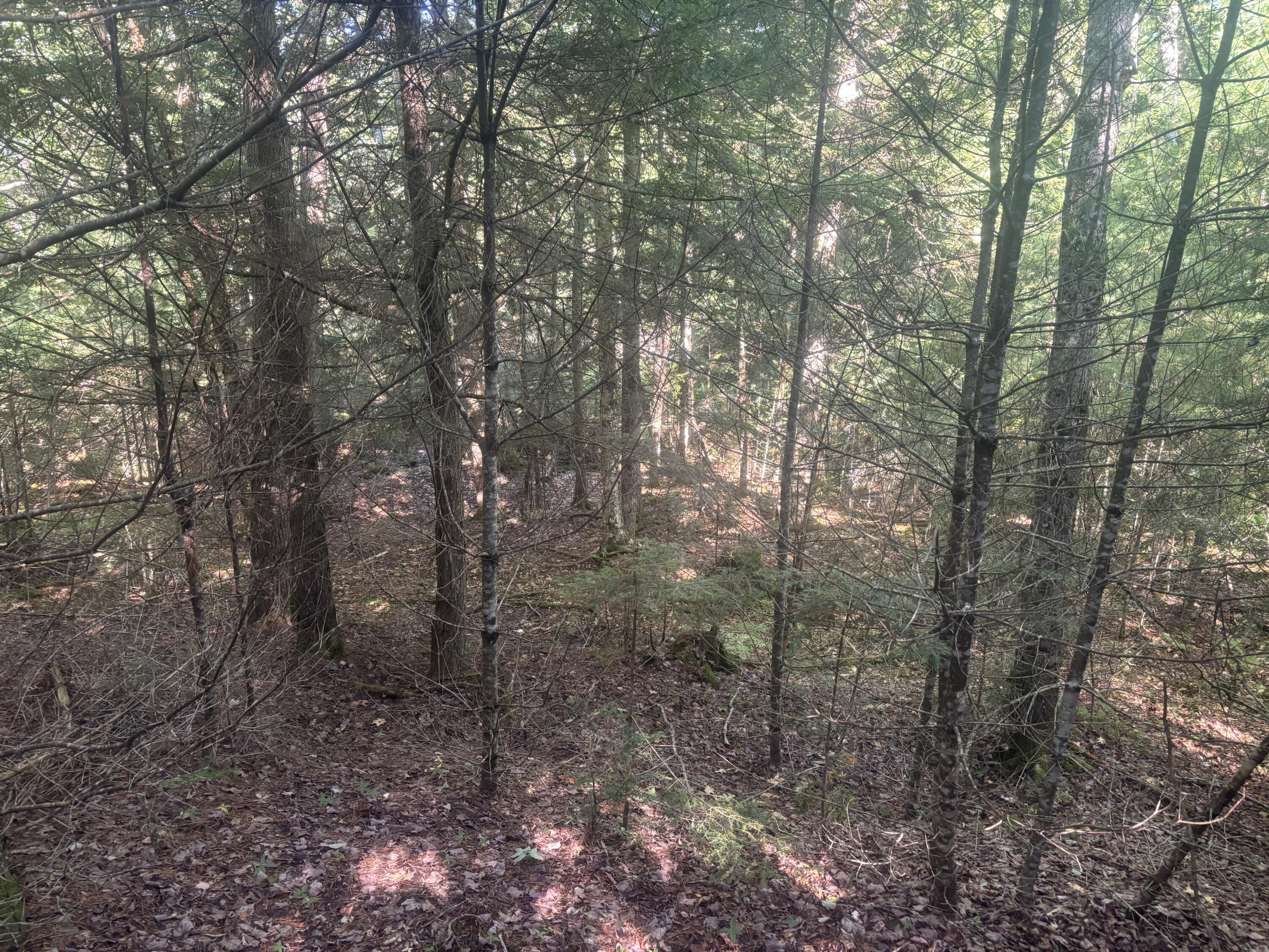 Map5/Lot53 Bangor Road