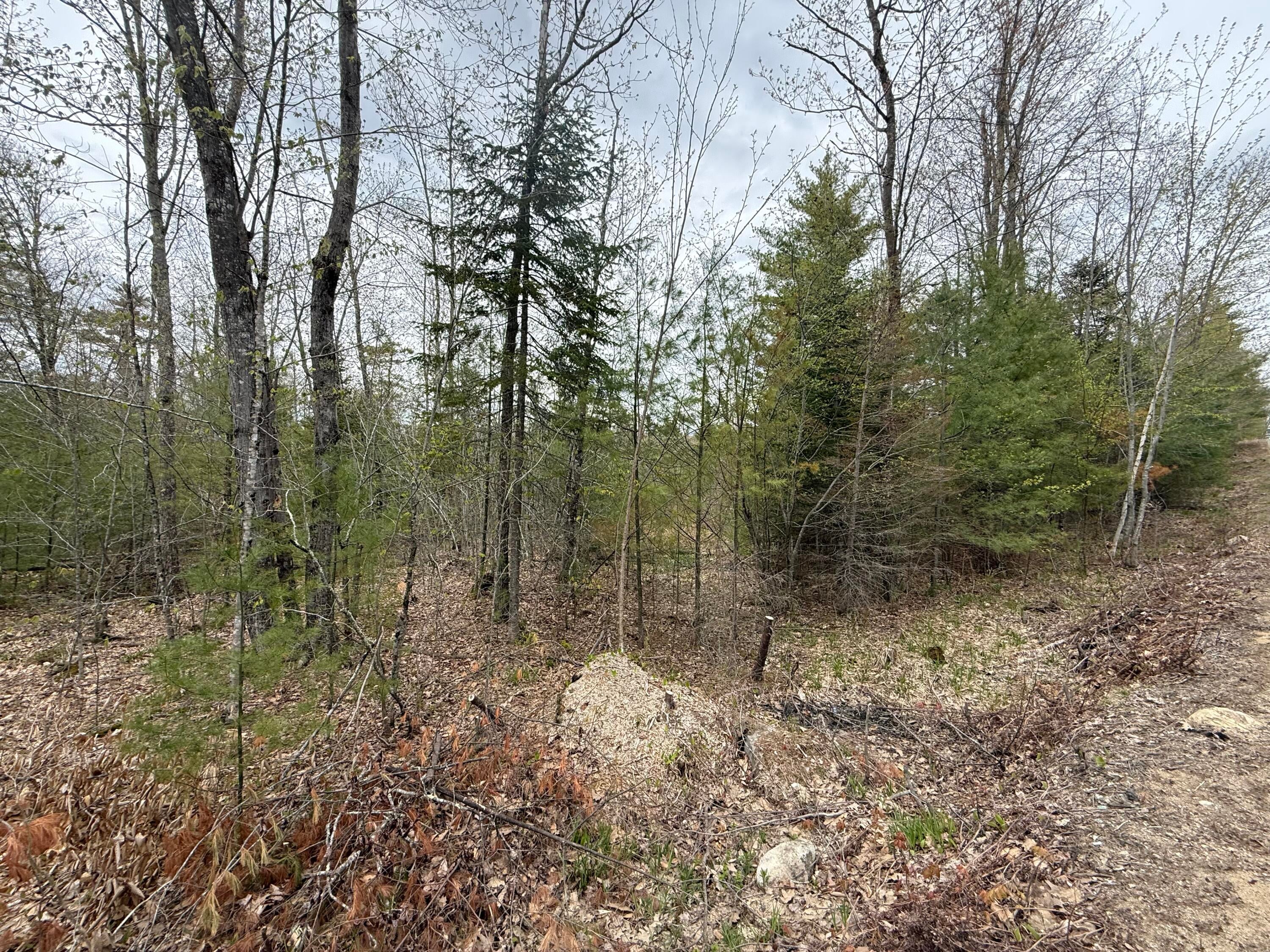 M R14 L 42 T M Wentworth (lot A) Road