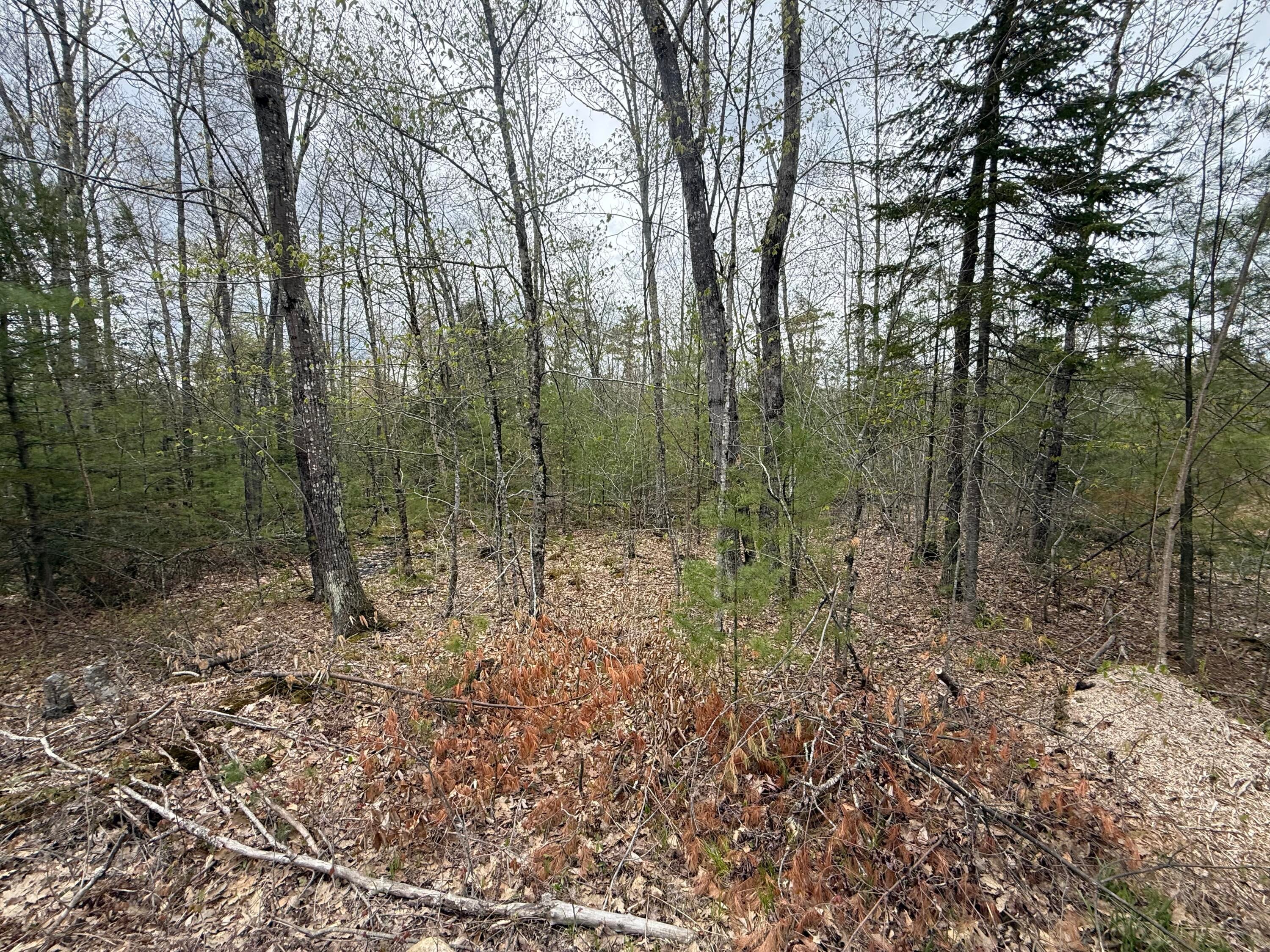 M R14 L 42 T M Wentworth (lot A) Road