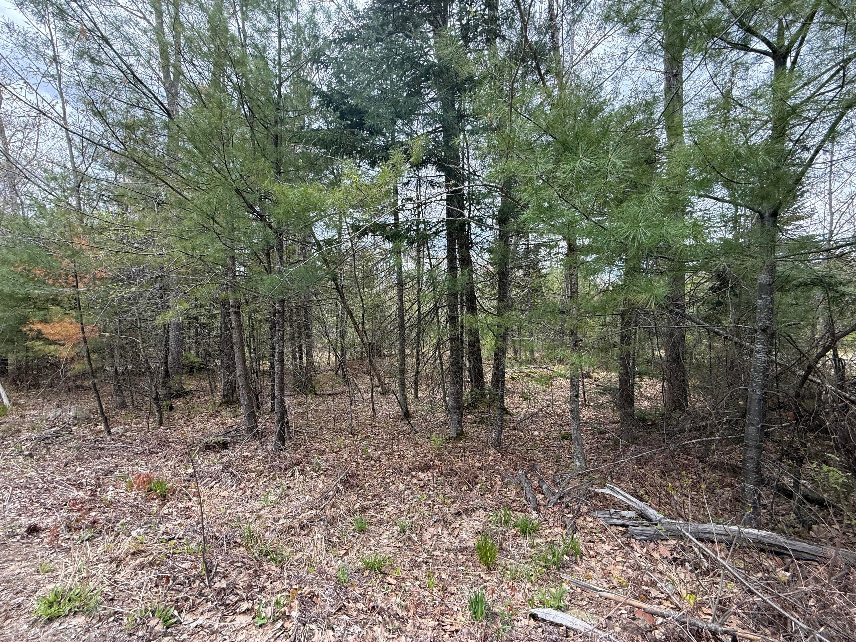 M R14 L 42 T M Wentworth (lot A) Road