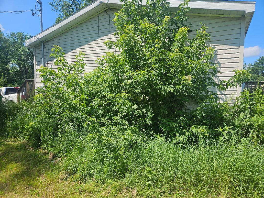 224 Stetson Road