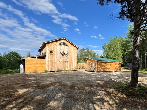 Photo of 88 Coburn Road, Carthage, ME 04224 (MLS # 1667378)