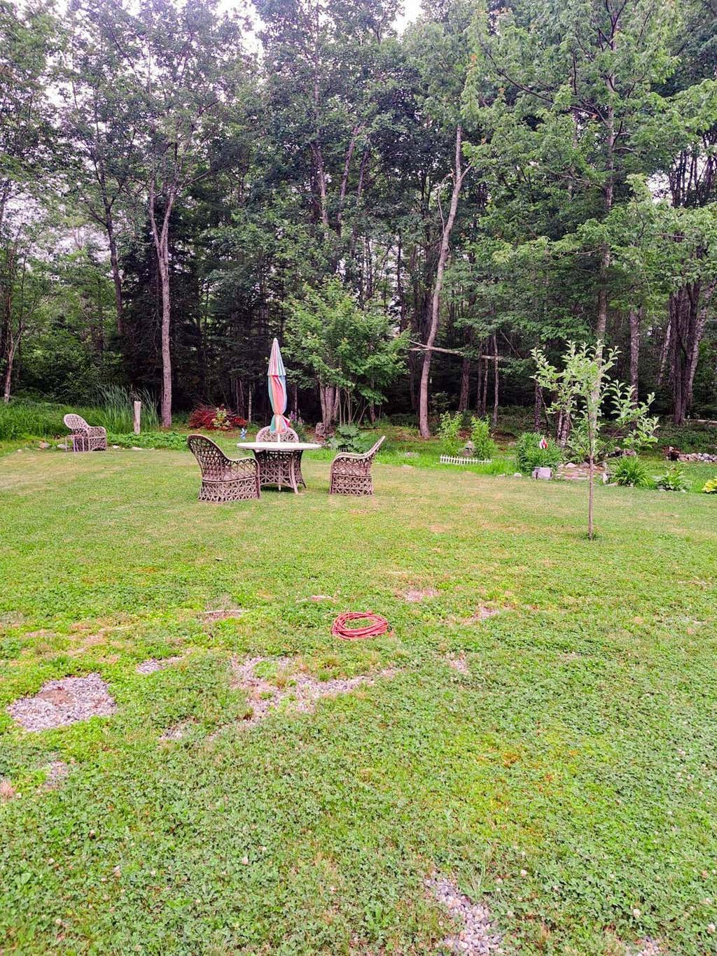 Photo of 776 E Side Road, Addison, ME 04606 (MLS # 1666114)