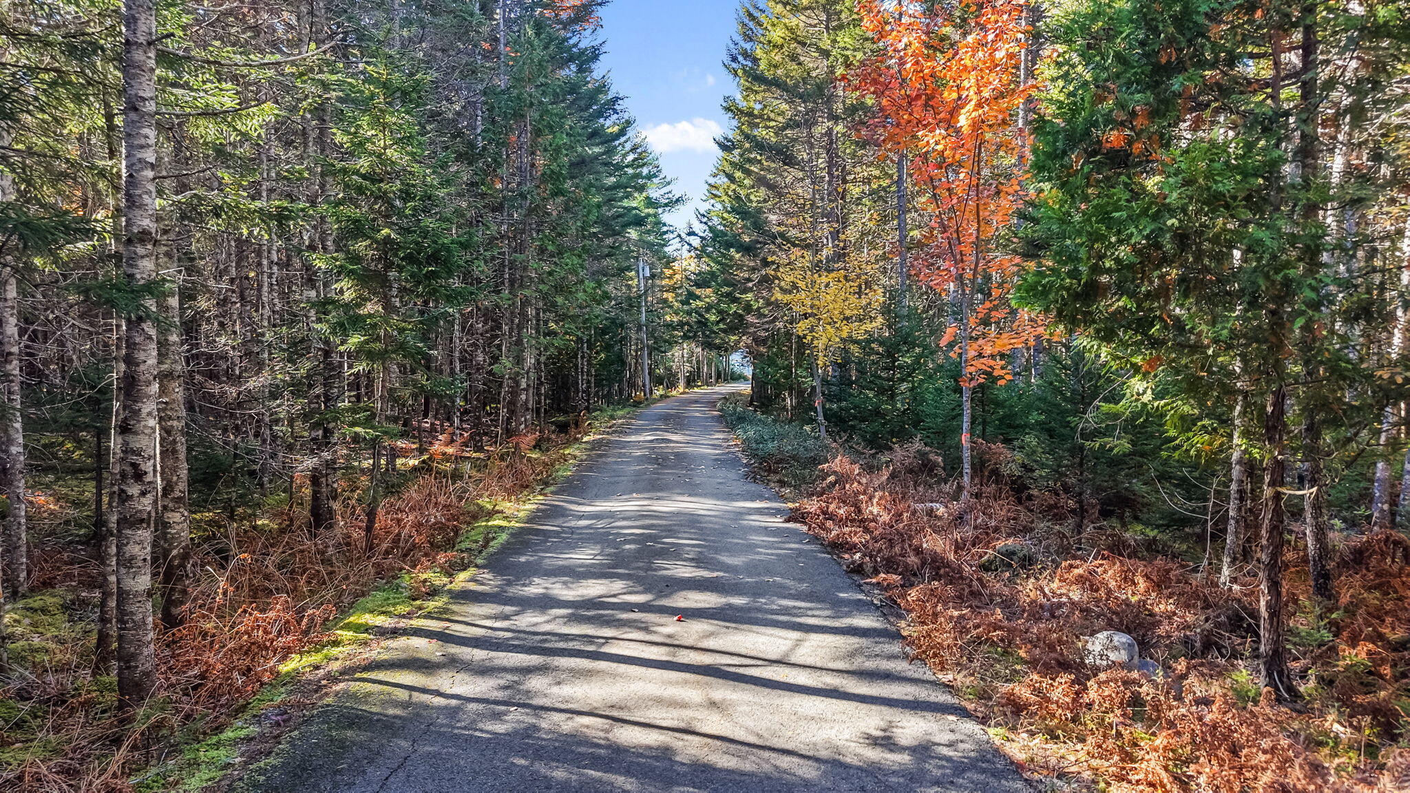 606 Grand Marsh Bay Road