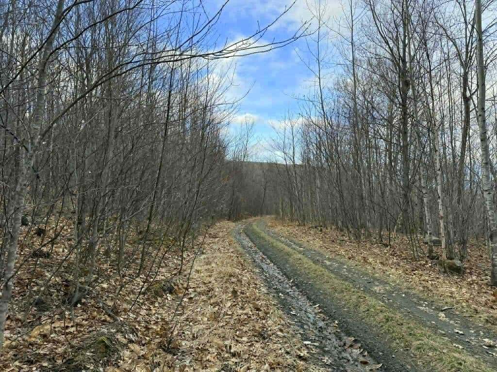Photo of Lot 3-5 Coffin Road, Industry, ME 04938 (MLS # 1658982)