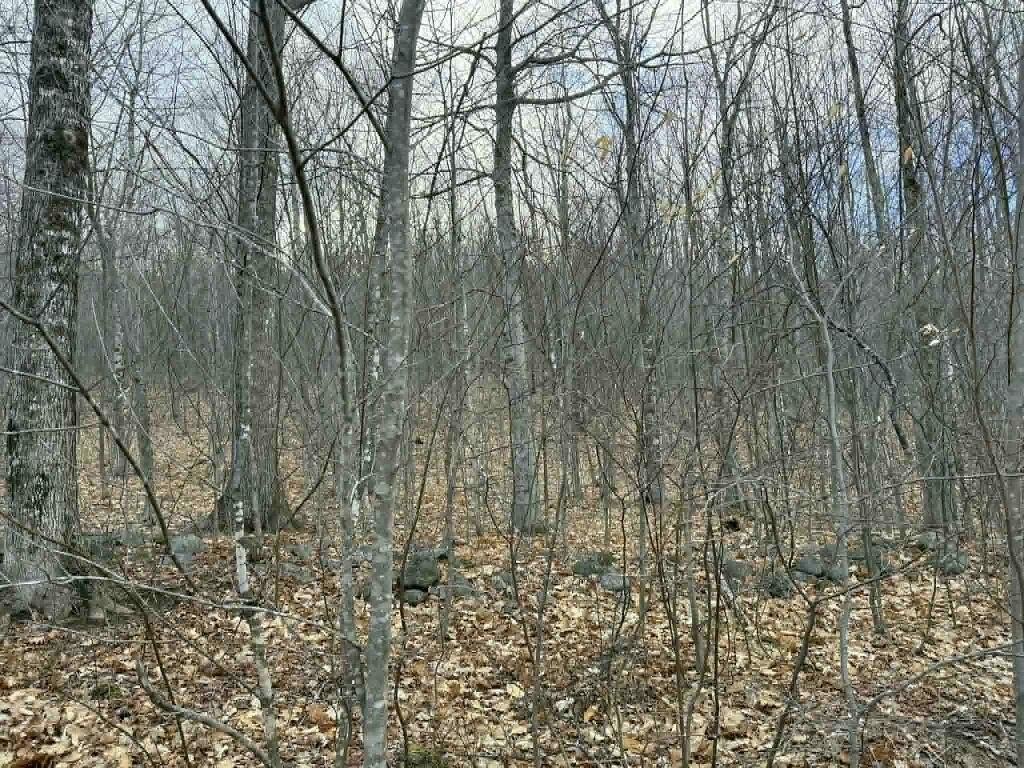 Photo of Lot 3-5 Coffin Road, Industry, ME 04938 (MLS # 1658982)
