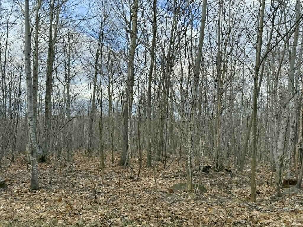 Photo of Lot 3-5 Coffin Road, Industry, ME 04938 (MLS # 1658982)