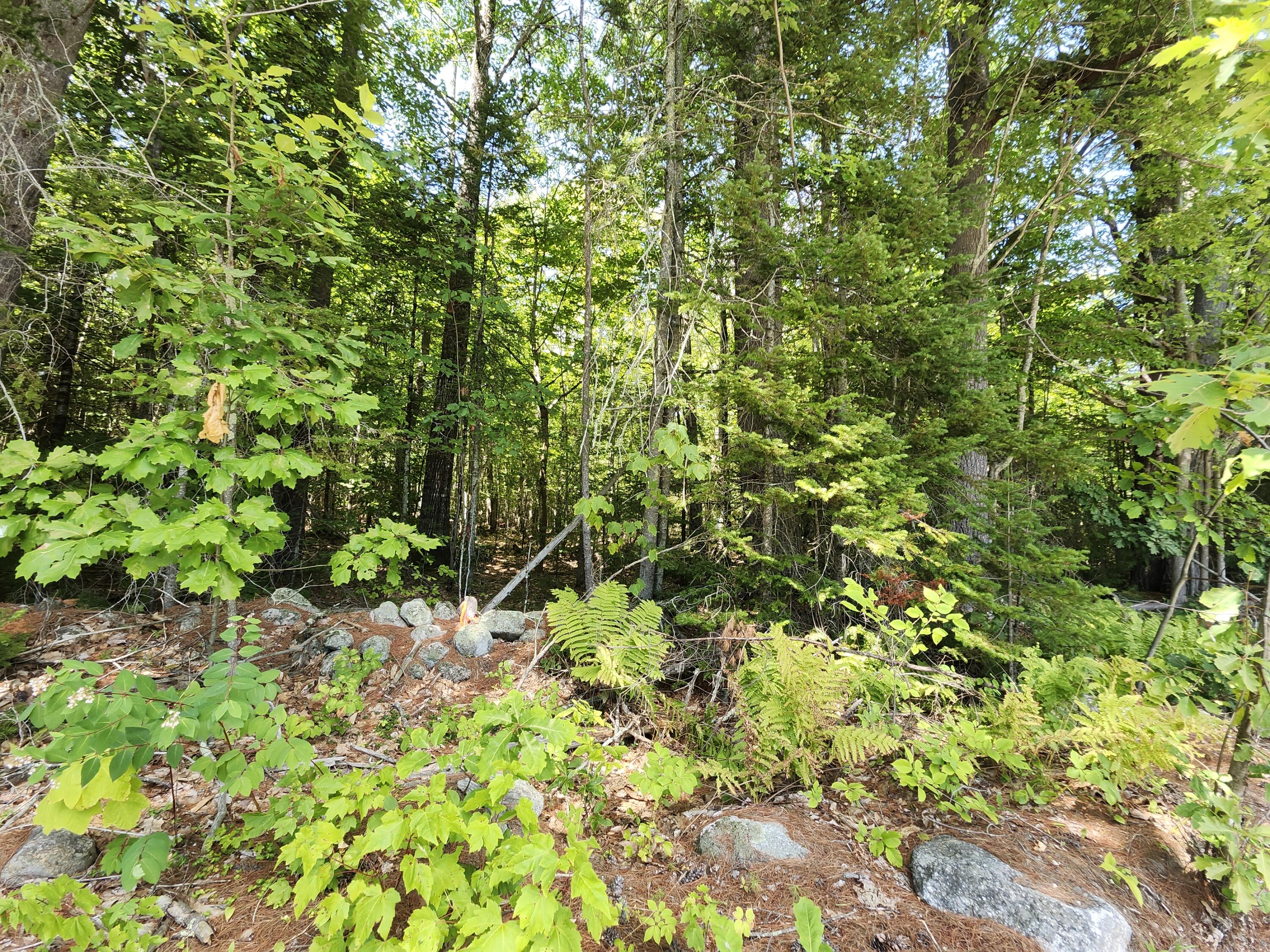 TBD Bridgton Road