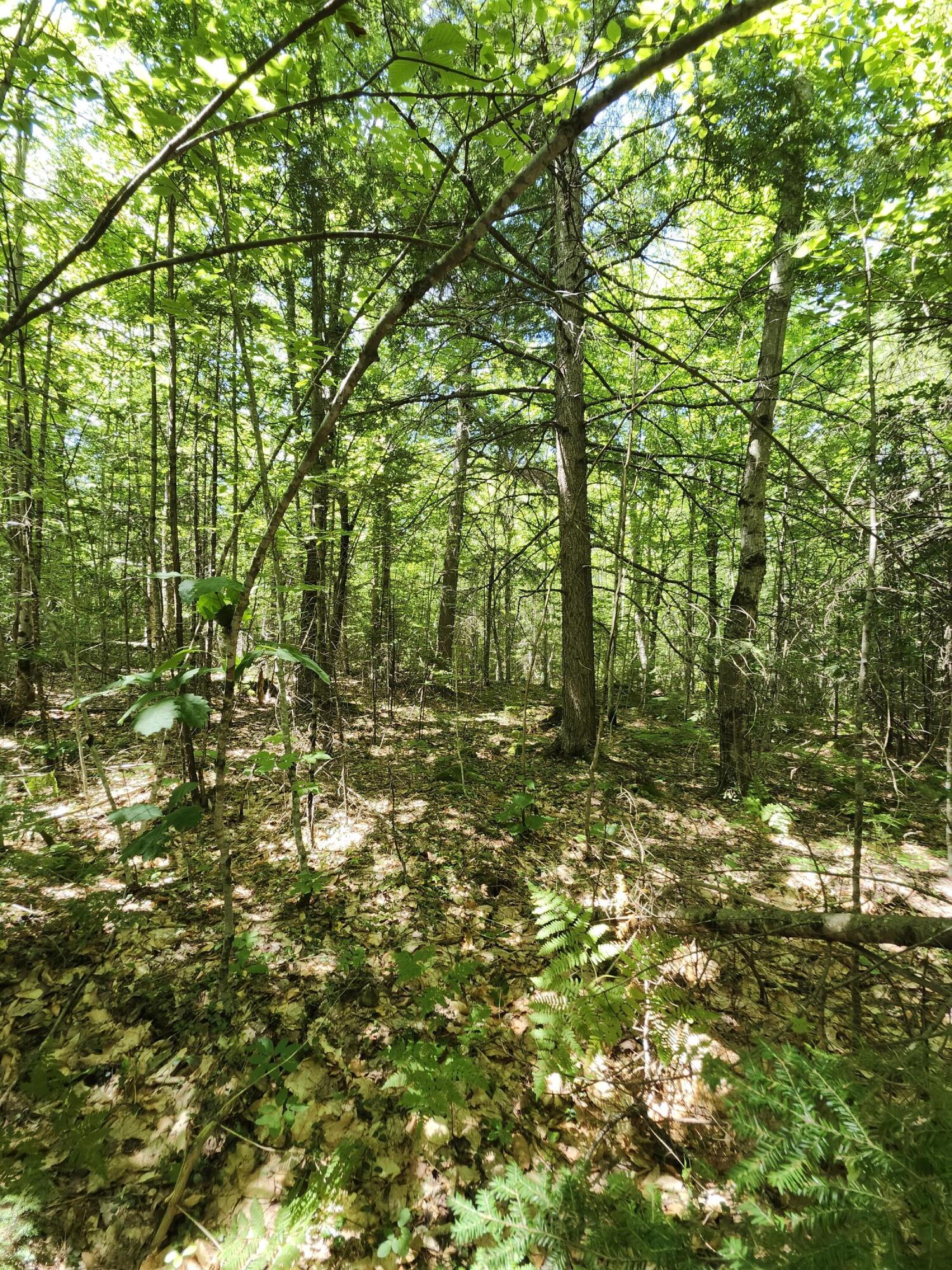 TBD Bridgton Road