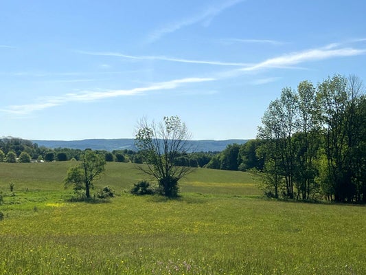 1 COUNTY RD 4 29, SIDNEY, NY 13838 - Image 0649dca49bdc1e757e0b5f5592d0d88e/923213686