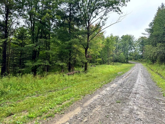 1 BRIGHAM RD, RICHFORD, NY 13835 - Image 09d90a068c252ea2d347207f06b3c43f/4137610014