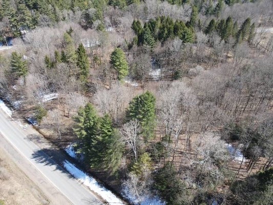 BURDICKS CROSSING RD, LYONS FALLS, NY 13368 - Image 0ed457d788806de9cc4e6d75a08e4f59/330940988