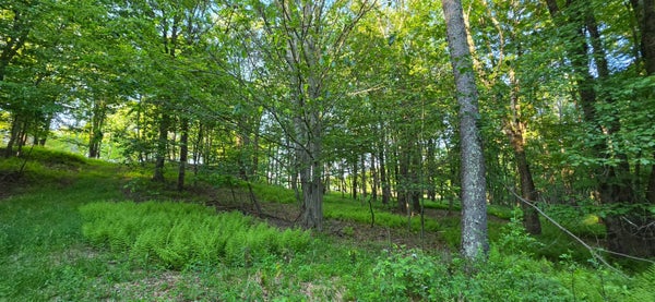 4 SHORE RD, SWAN LAKE, NY 12783 - Image 0f29f82f3a9ab41dd3e01e4c2ca9d4cb/1424029570
