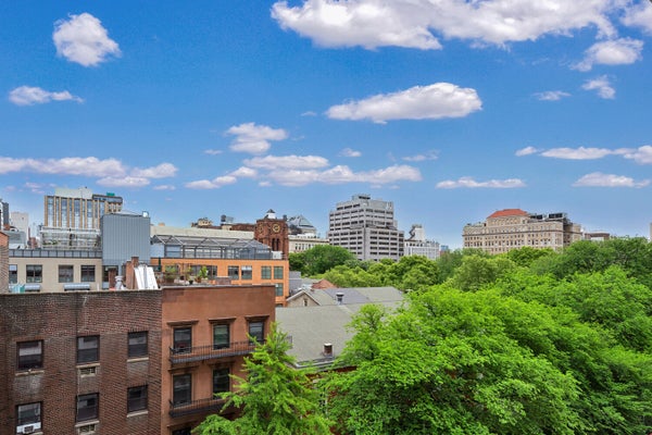 210 E 15TH ST APT 8P, NEW YORK, NY 10003 - Image 4cf484e24024455e5ca7feaef8b692c1/2296301721