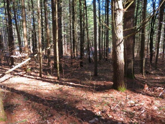 MCPHILMY RD, GLENFIELD, NY 13343 - Image 68a9a6ced04bc9e0d73d57eb6f34ecd5/839587902