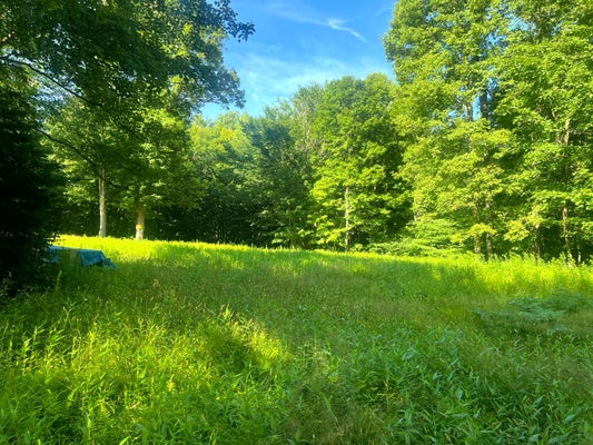181 CARLETON POND RD, CAMDEN, NY 13316 - Image 6fa8fd0b5e4b3427e3dc1dc4e9cdd58a/354806422