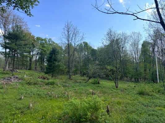 105 10TH DR, CLEVELAND, NY 13042 - Image 70bd45f7ebff30c4a69fb88086078066/39452844