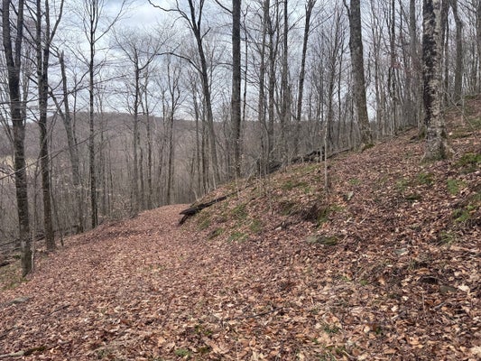 CHARLIE WOOD RD, DE LANCEY, NY 13752 - Image 741e7528fed72eac7acc7dad2bbe2178/4200776664