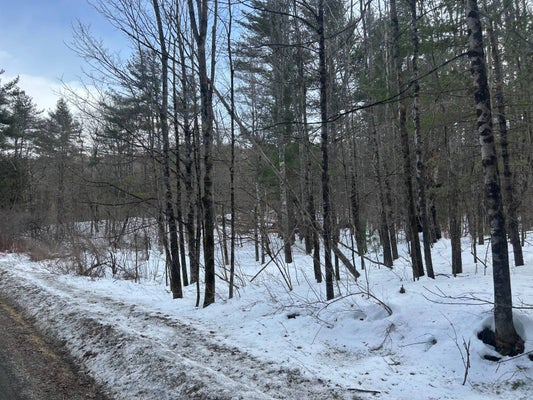 326 HOG BACK RD, CROWN POINT, NY 12928 - Image 791f783c19bd8d3f9c50f9308642eeb9/102967757