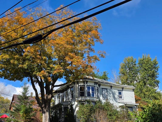1623 CHARLOTTE VALLEY RD, SUMMIT, NY 12175 - Image 7cc903a67b1e0fc802d2c22c8c0c91d1/1481370753