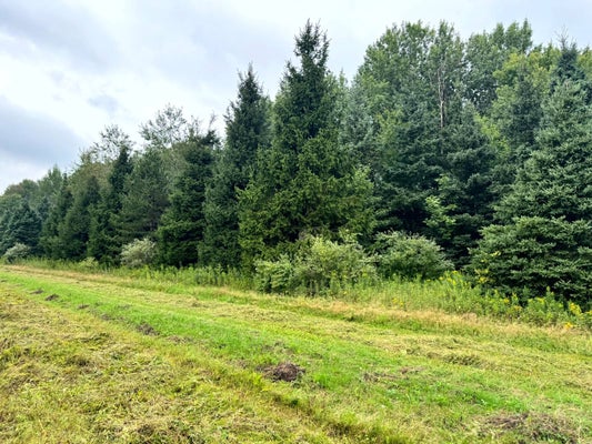 1 BRIGHAM RD, RICHFORD, NY 13835 - Image 7ef2d747ed3374db7f16ba0aa08bf37f/3848669240