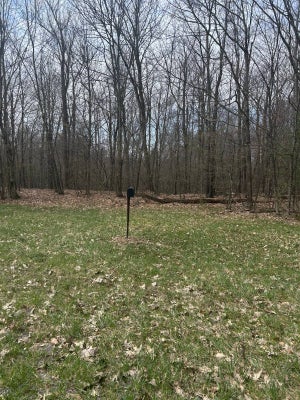 955 WOODLAND RD, SIDNEY CENTER, NY 13839 - Image 85b5ed18caed7aa85cd18e179d8bd1a8/253905882