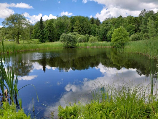 10269 EVANS RD, REMSEN, NY 13438 - Image 8b80038eeed81a1c2a00c8dab8cb4086/697436547