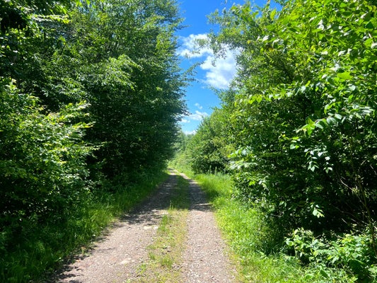 YORKLAND RD, TABERG, NY 13471 - Image 9bc3116737ac1e9e2d534397a42eaf17/932465530
