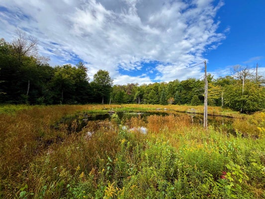 19 TWIN PONDS DR, MALONE, NY 12953 - Image b4dcca5e376d5c04ae2a8d3f12acfaa8/2094606598