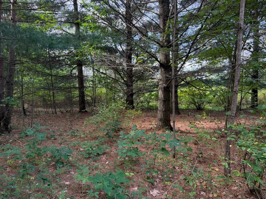 MCCONNELL RD, GLENFIELD, NY 13343 - Image bd3725f735a0a8d8b4e25e065f5f2c3e/1065236146