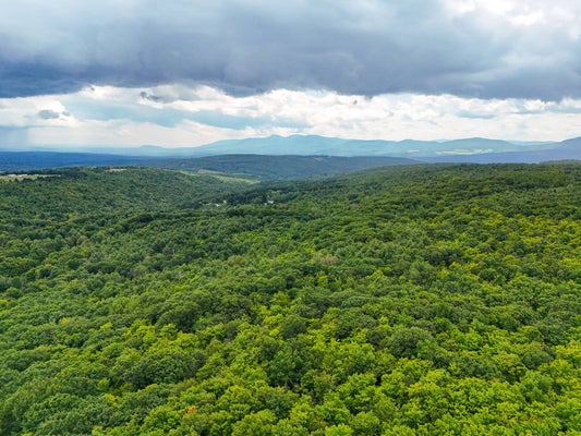 1 RONEY RD, PRESTON HOLLOW, NY 12469 - Image c2a25e425edccfccab81baa59bfbaf99/1947383723