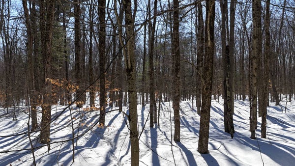 FLORENCE HILL RD, CAMDEN, NY 13316 - Image cd2fab34b381f3bfb62ea502ad84d0b2/4157746072