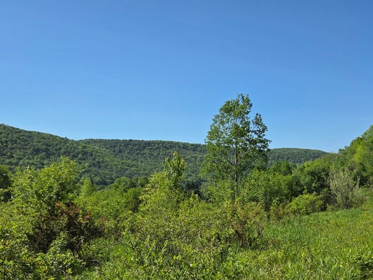 ADDRESS PRIVATE, CUBA, NY 14727 - Image cf4affc3370f713eea06f0a1acf2b519/735308292