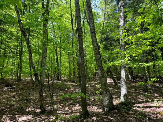 1 3RD CT, CHESTER, NY 10918 - Image d09f327296ea290d5d052e8f08c50dae/1408702957