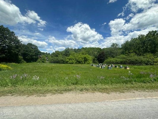 240 FISHER RD, FULTONVILLE, NY 12072 - Image dcfafb1bf0d33487cab3ef94dee78e4b/4237090009
