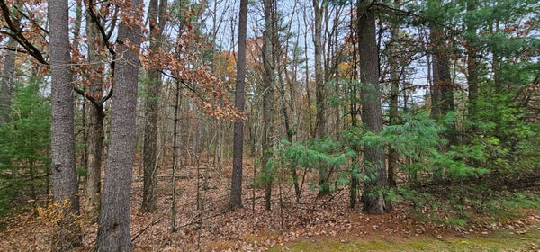 28 SUMMIT DR, ELDRED, NY 12732 - Image e3e4e09e550b0d592aee774cfa0957f0/1898047246