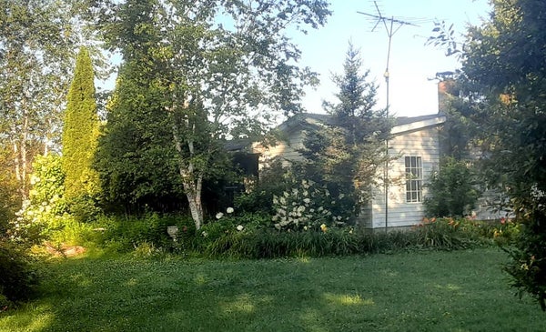 745 ABE BOICE RD, SIDNEY CENTER, NY 13839 - Image e5df083339e60b8c2fc09efe0daa657e/838820644